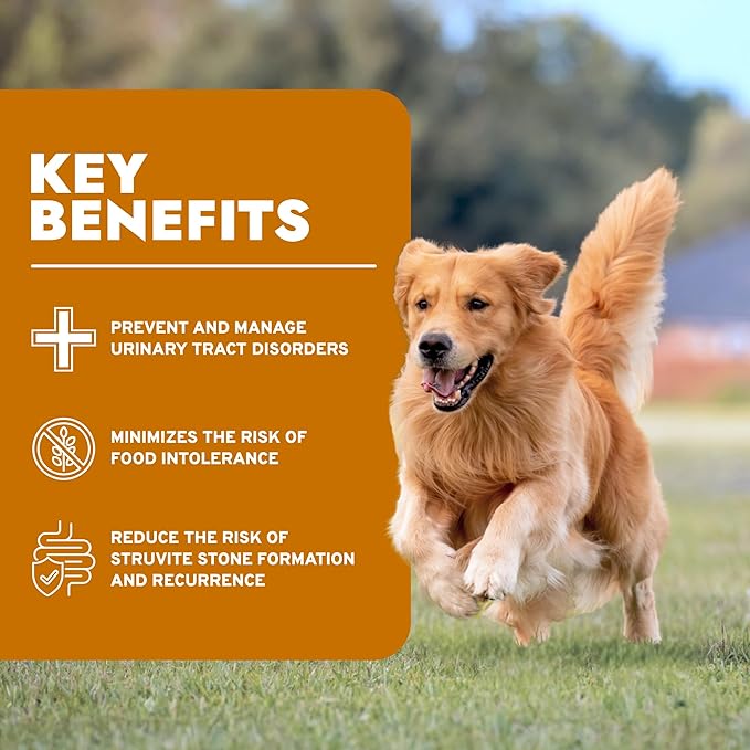 Forza10 - Dog Food, Vet-Approved Pet Food for Urinary Health and UTI Support, Non-GMO, Fish Flavor, Made in Italy (22 lb)
