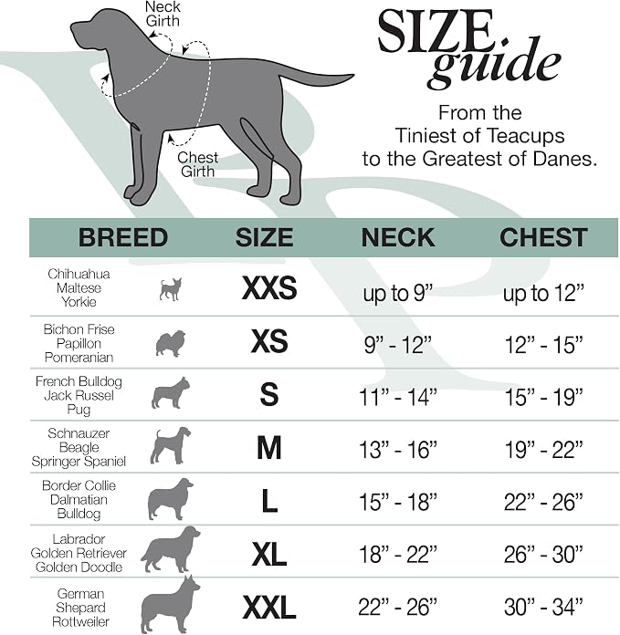 Pet Passion Cooper II Organic Cotton Velour Dog Hoodie Pet Coat for Small, Medium and Large Dogs, Sage, Medium (20-45 lbs)