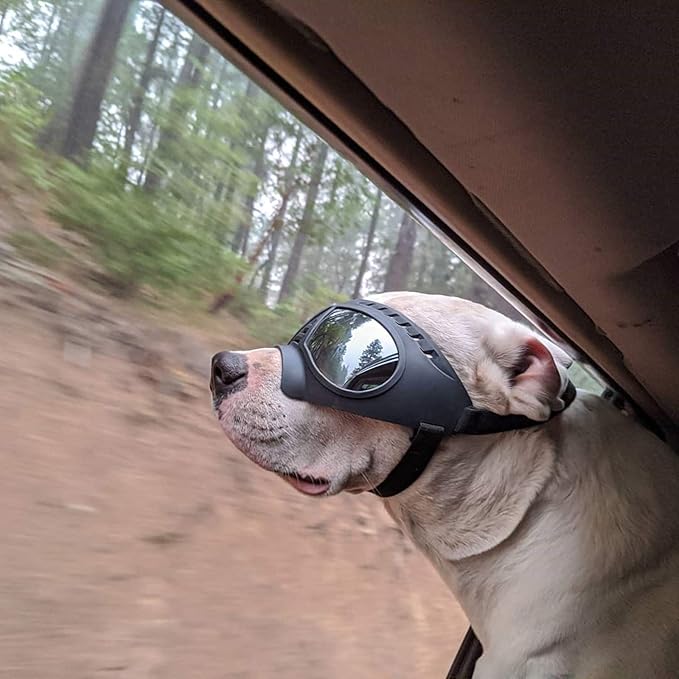 Namsan Dog Goggles for Large Dogs, Wide Snout & Soft Frame, Tactical Driving Sunglasses for Dogs Medium to Large Breed, Anti-UV Dog Eye Protection, Windproof Dustproof, Adjustable, Black