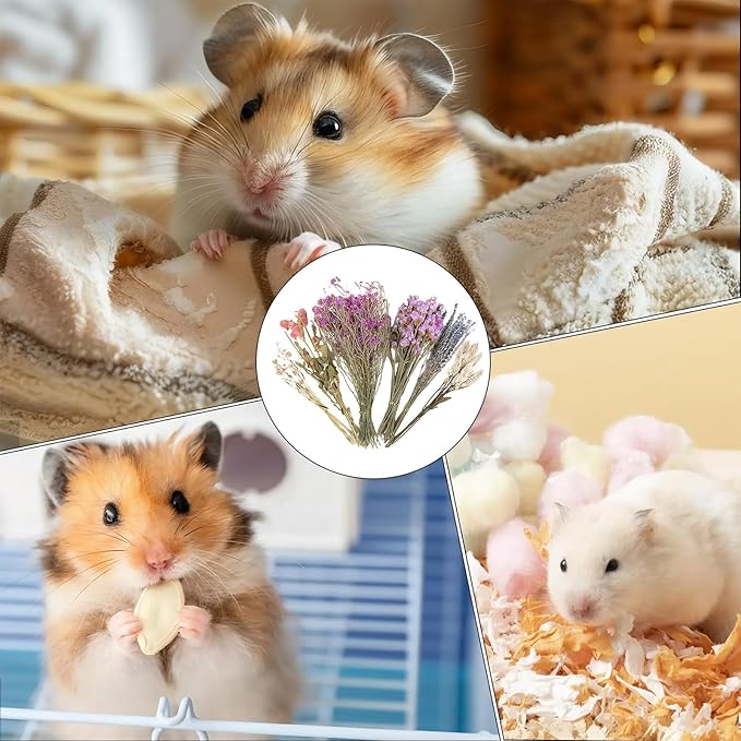 Natural Dried Flower Hamster Sprays for Hamster Cages, Decorative Floral Hamster Bedding Decors, Small Animal Houses & Habitats Hamster Cage Accessories