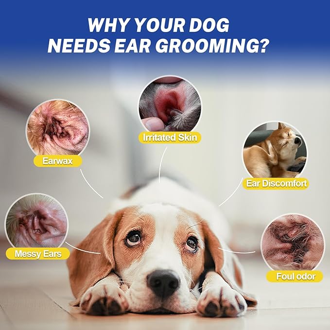 Dog Ear Powder for Hair Removal & Ear Care - Includes 5.5" Curved Locking Forceps - Absorbs Moisture, Removes Dirt - Soothes Itchy Ears for Dogs & Cats