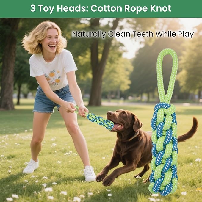 Interactive Dog Bungee Tug Toy, 4 Pieces Hanging Spring Pole for Puppy/Small/Medium Dogs, Outdoor Tether Rope for Yard Tree, Indoor Door Pull Toy for Self Play and Solo Exercise