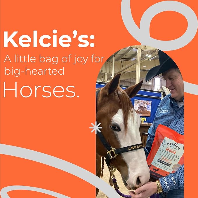 Kelcies Pumpkin Spice Horses Treats - Low Sugar, Starch, and Carbohydrates | Healthy Treats for Horse Supports Superior Digestion 5 Pound (1 Pack)