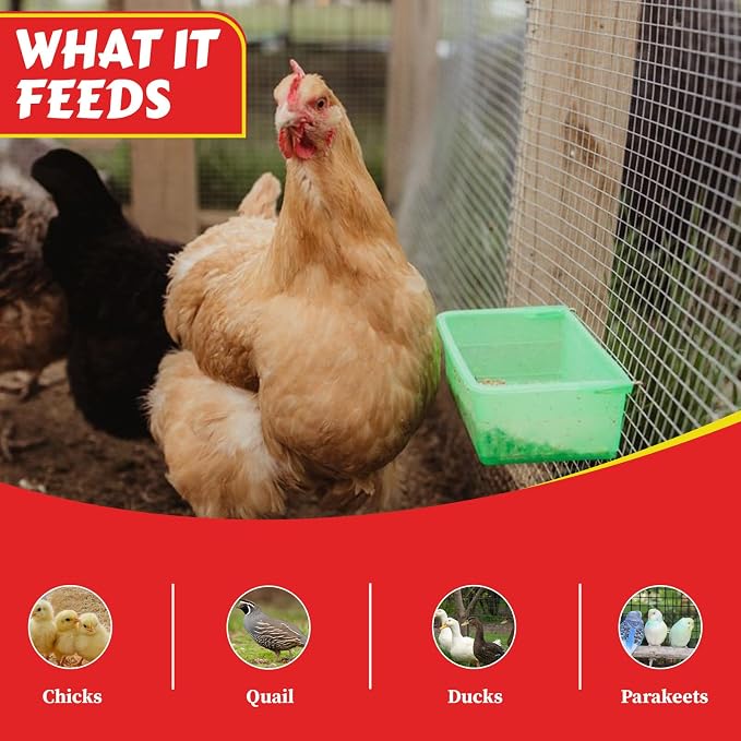 My Favorite Chicken 27oz Chicken Cage Cup – Hanging Chicken Waterer & Feeder for Chick, Duck, Quail, Parakeet – Versatile Poultry Feeder & Bird Cage Water Cups, Green