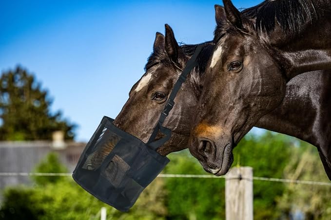 Horse Feed Bag for Grain, Medium, Heavy Duty Durable Mesh Horse Feeder with Adjustable Strap, Comfortable Neck, Reinforced Waterproof Bottom Horse Muzzle Feed Bag