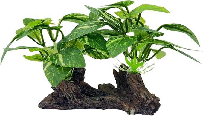 Aquarium Driftwood, Natural Fish Tank Decor for Betta, Reptile Hideout & Terrarium Ornament, Type-C