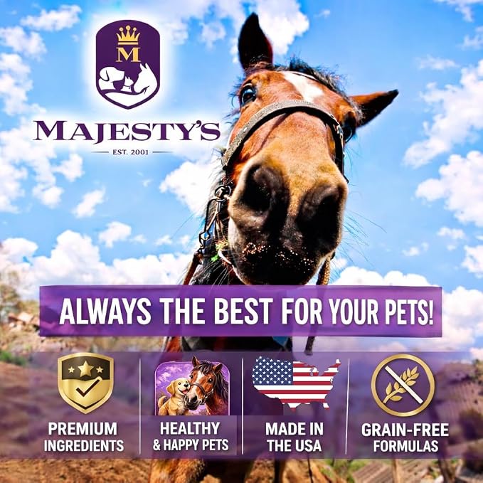 Majesty's PillEase Horse Treats | Pack of Two 48 Ounces Each |Makes Giving Medication Easy | Made in The USA | A Delicious Soft and Pliable No Bake Cookie Horse Treat