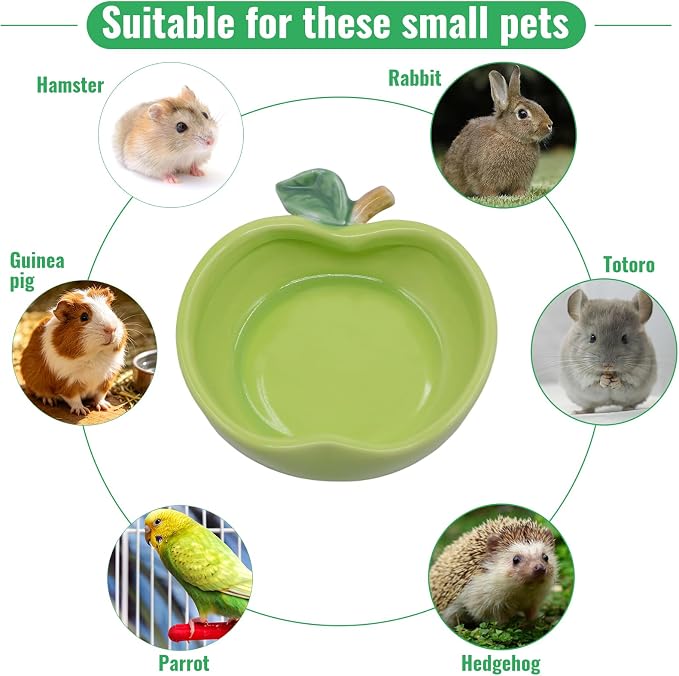 Small Ceramic Guinea Pig Food Bowl Cute Hamsters Food and Water Bowl Ferret Rat Chinchilla Rabbit Feeding Dish Young Animal Feeder (Green)