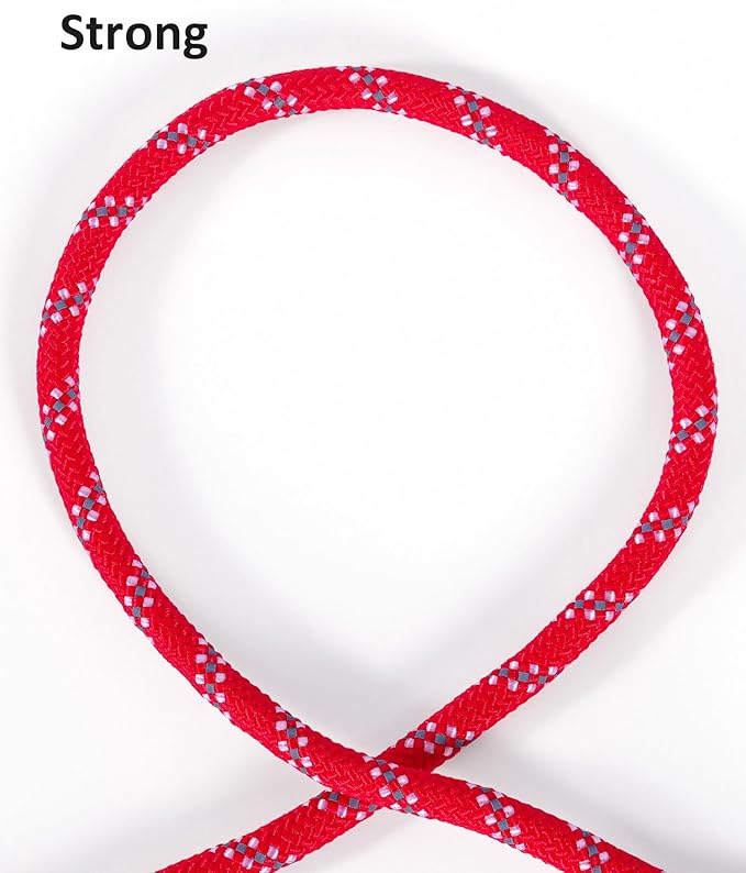 Long Dog Leash for Dog Training 30FT, Heavy Duty Dog Lead for Large Medium Small Dogs Outside Walking, Playing, Camping, or Yard,Red