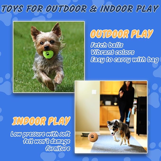 INSUM Bulk Tennis Balls for Dogs Pack of 12 Easy Catching Dog Fetch Balls (Non Squeaky-Multicolor)