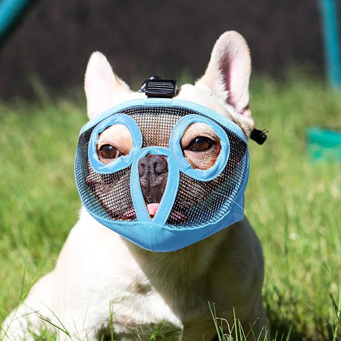 Short Snout Dog Muzzles- Adjustable Breathable Mesh Bulldog Muzzle for Biting Chewing Licking Grooming Dog Mask,Blue XL