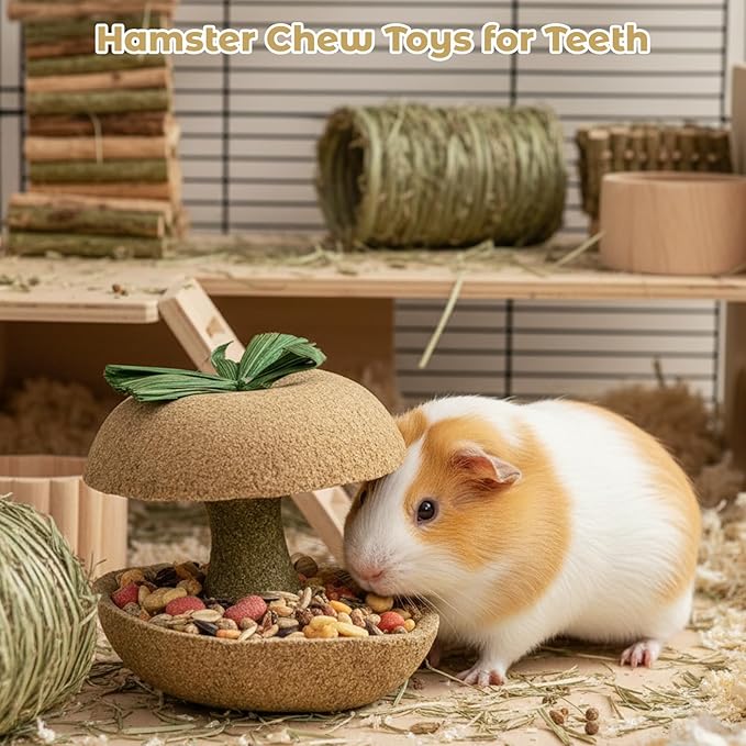 3PCS Hamster Stuff, Rabbit Chew Toys, Rat Toys, 2 Chew Sticks and 1 Apple Core, Small Animal Teeth Care, Natural Wood Material