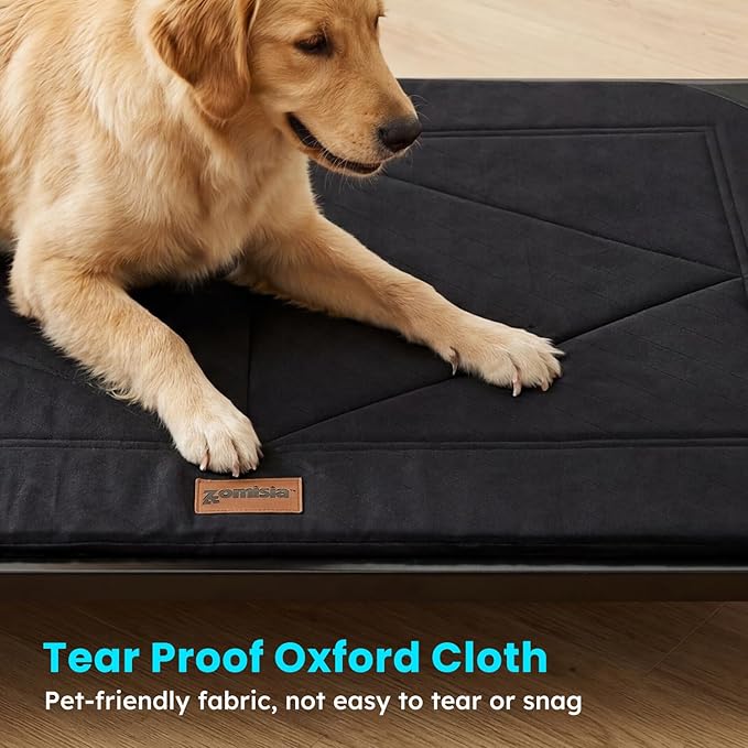 ZOMISIA Chew Proof Elevated Dog Bed for Medium Dogs - Raised Pet Cot with Removable Waterproof Padded for Outdoor Use, Indestructible and Washable, 36" L x 24" W x 5" H, Black