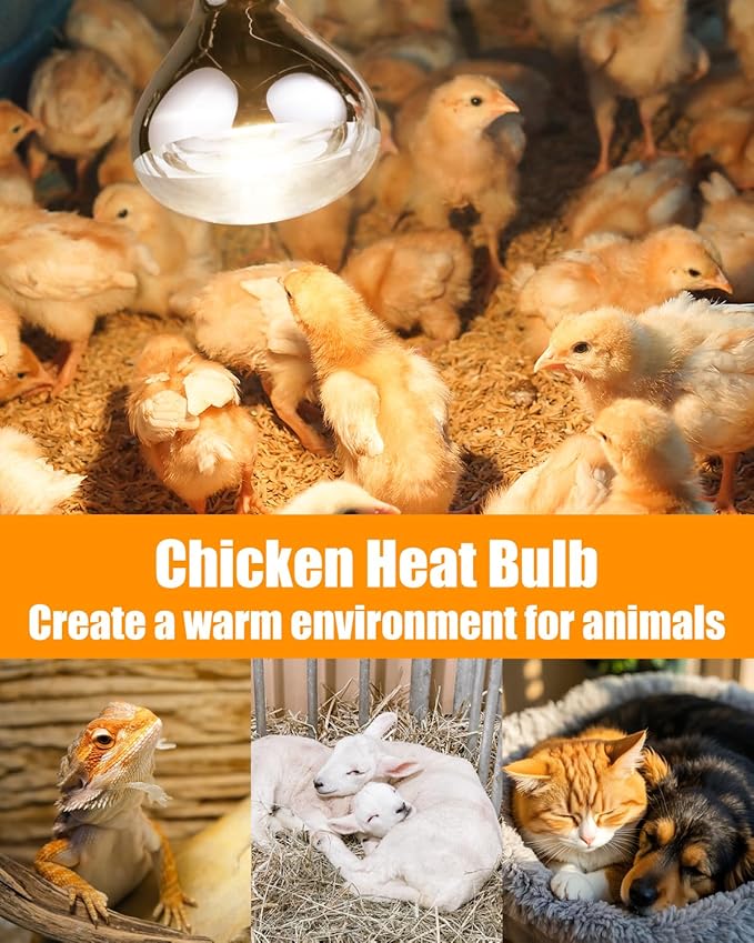 250W Heat Lamp Bulbs, 8000 Hours Rated, R40 Bathroom Shower Incandescent Light Bulb, Infrared Heating for Chickens, Reptiles, Pets, Food, E26 Base, 8 Pack