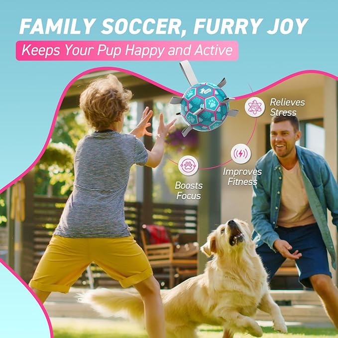 QDAN Dog Toys Soccer Ball, Tug of War Toy, Puppy Birthday Gifts, Water Toy, Durable Dog Balls for Medium Large Dogs, Lake Blue(8 inch)