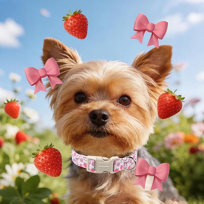 Lionet Paws Spring Dog Collar- Cute Strawberry Pink Dogs Collar with Plastic Buckle and Bowtie Pendant,Dog Collar for Small Dogs