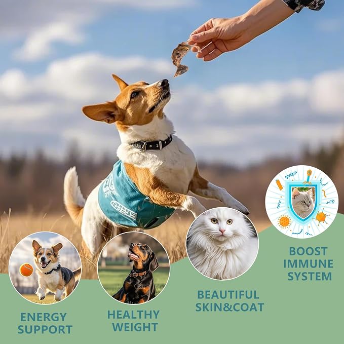 Freeze Dried Little Quail, 4.5 Oz Quail Dogs Cat Treats, Single Ingredient Freeze Dried Cat and Dog Treats Delicious Training Snacks, Natural Food Healthy Animal Protein Pet Food