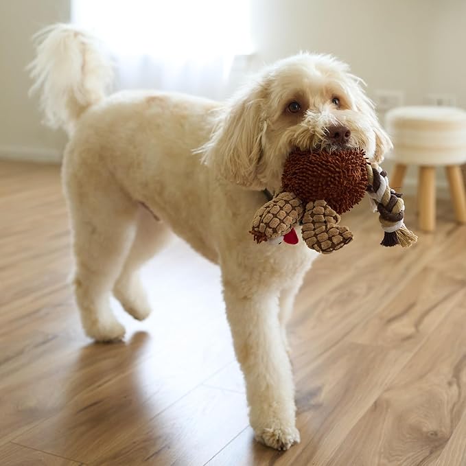 SPOT Gigglers Chicken Dog Toy with Giggle Sound, Textured Plush Tug Toy with Rope Legs, 12" for Small and Medium Dog Breeds