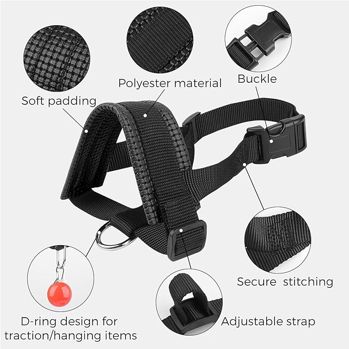 Nylon Dog Muzzle for Small,Medium,Large Dogs Prevent from Biting,Barking and Chewing,Adjustable Loop(L/Blue)