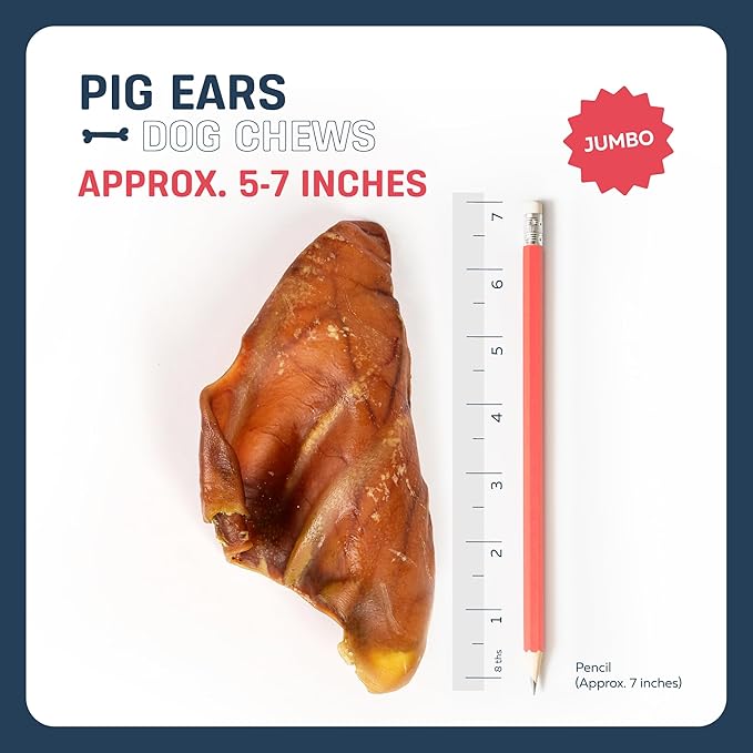 Big Lu – Whole Pig Ears for Dogs, 6 Count, All-Natural Single-Ingredient Pork Treats for Medium and Large Dogs, Easily Digestible, Supports Joint Health with Glucosamine and Chondroitin
