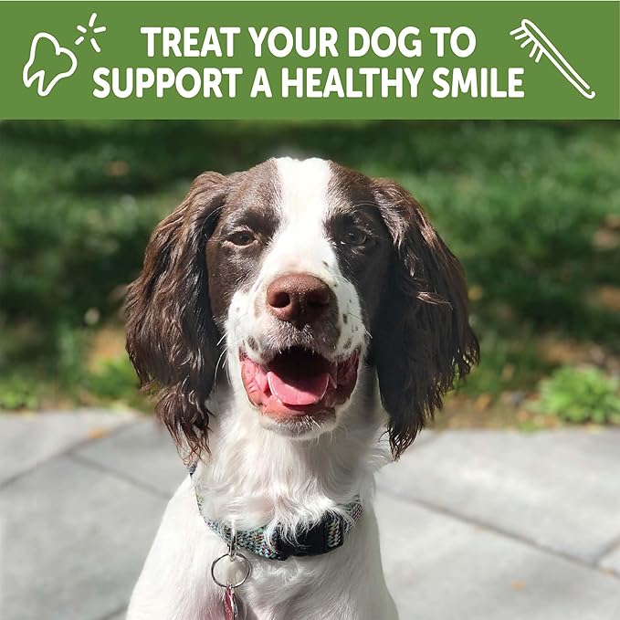 Wellness WHIMZEES Puppy Dog Dental Treat, Chews, Freshens Breath, Medium/Large Size, 7.9 oz Bag, 14 Count