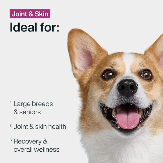 JustFoodForDogs Frozen Fresh Dog Food for Sensitive Skin Allergies, Joint Health, Complete Meal or Human Grade Dog Food Topper, Joint & Skin Support, 18 oz (Pack of 7)