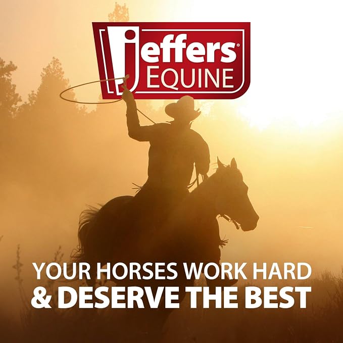 Jeffers Expression Top Loading Hay Bag for Horses & Livestock – Durable 600 Denier Hanging Hay Feeder, Water Resistant with Mesh Bottom, Easy Hanging Snap for Stall, Trailer, Travel - Bloomin Toolin