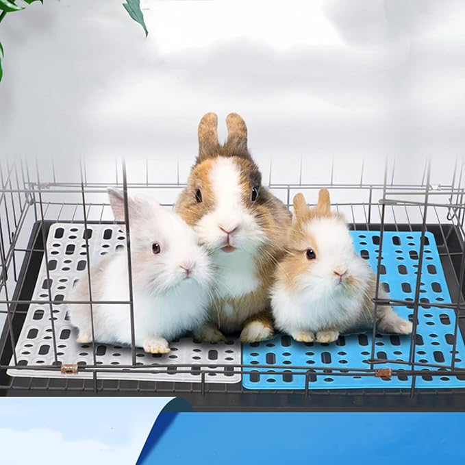 Lyellfe 12 Pack Plastic Rabbit Cage Mat, Durable Rabbit Floor Mat with Snap Joint, Foot Resting Pads for Pet Cats Dogs Bunny, Assorted Colors