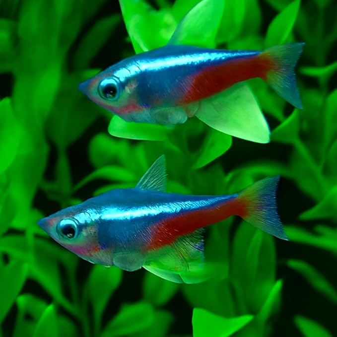 16-Piece Artificial Aquarium Plants Set – Vibrant, Realistic Fish Tank Decorations for Aquariums, Reptile Terrariums, and Aquatic Landscapes