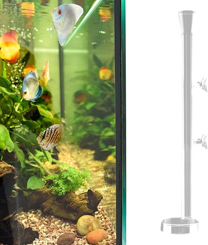 Aquarium Feeder Tube Glass Food Feeding Tube with Round Feeding Tray Fish Tank Shrimp Crab Feeding Accessories Prevents Waste Suitable for Household A, 35cm