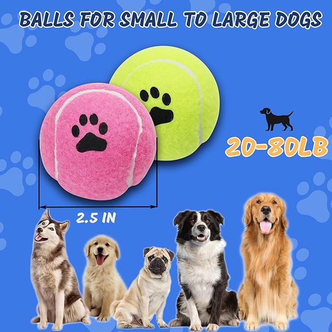 INSUM Bulk Tennis Balls for Dogs Pack of 12 Easy Catching Dog Fetch Balls (Non Squeaky-Multicolor)