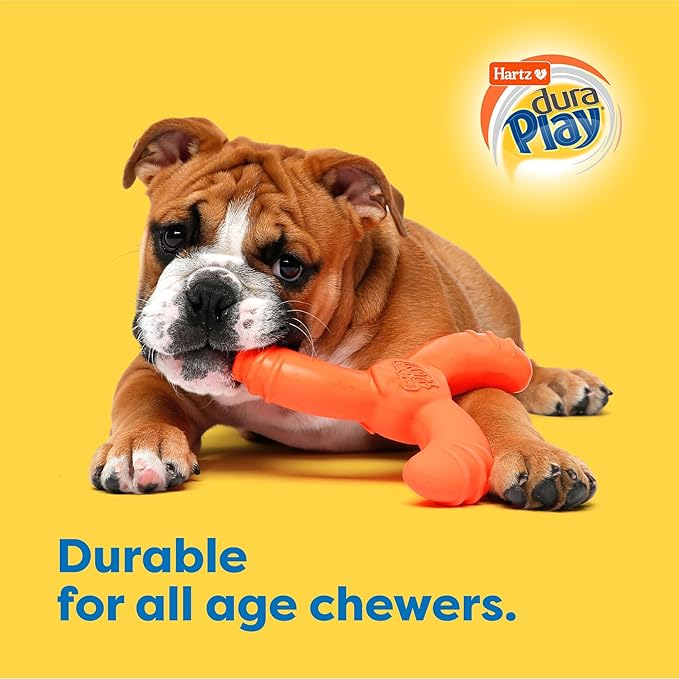 Hartz DuraPlay Bacon Scented Dog Toys, Medium/Large (Colors May Vary) All Breed Sizes (Pack of 3)