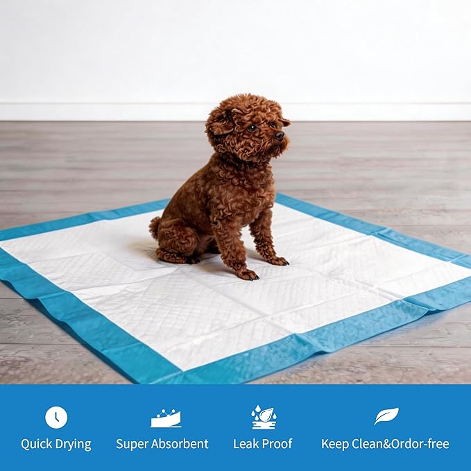 6 Layers Dog Training Pads, Super Absorbent Leak-Proof Puppy Pads, Dog Pee Pads 40 Count 23"x 23", Quick Dry Surface, Perfect for Puppies & Senior Dogs