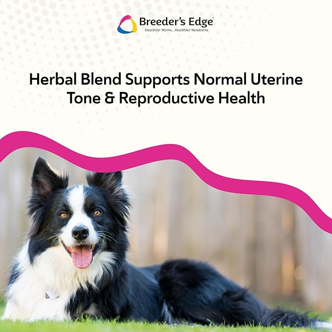 Breeder's Edge Oxy Mate Dog Prenatal Vitamins, Comprehensive Supplement for Pregnant Dogs and Cats Enriched with Essential Nutrients for Healthy Moms & Litters, Soft Chews - 120ct Medium & Large Dog