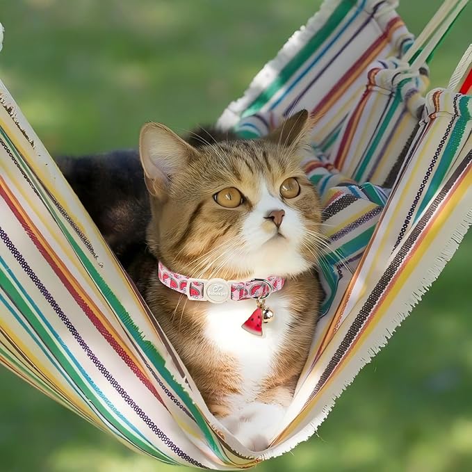 2 Pack Summer Cat Collars - Lavender GRAP & Pink Watermelon Breakaway Safety Cat Collars, Adjustable Soft Boy Girl Kitten Collar for Small Dogs Puppy, Cute Pet Collar with Bell & Pendant