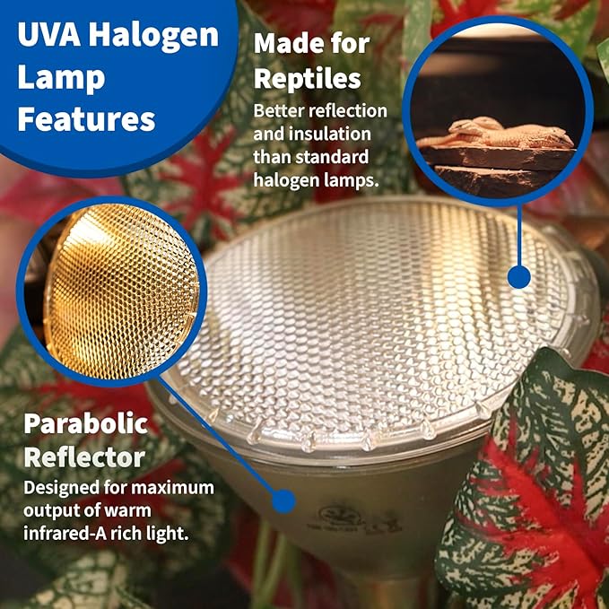 Pangea 75W Halogen Heat Lamp for Reptiles - Warming UVA and Infrared Light for Turtles, Tortoises, Bearded Dragons - Heating Bulb Terrarium Accessories, Designed for Ceramic Sockets (75 Watt)