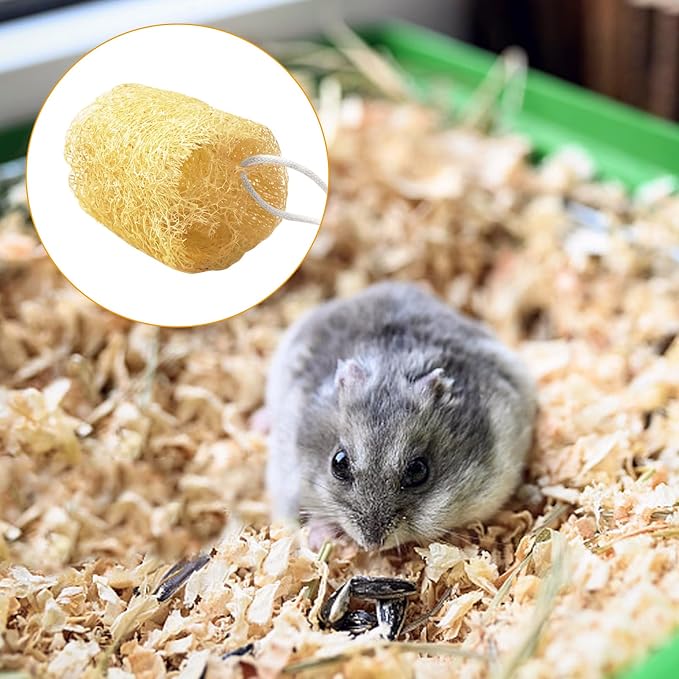 12 Pcs Rabbit Chew Toys Natural Bunny Loofah Chew Toy Chinchilla Teeth Grinding Toys Guinea Pig Fibre-Rich Treats Enrichment Bunny Accessories for Rabbits Hamster (M)