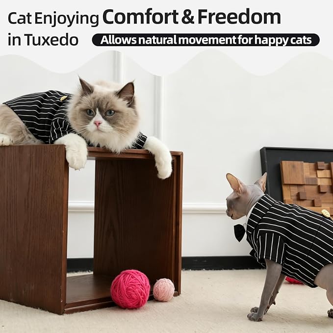 QBLEEV Cat Tuxedo Outfit with Bow Tie, Sphynx Cat Costume Formal Suit Wear | Soft breathable, stylish hairless clothes for cats only, kitten wedding birthday party shirt apparel for male boy