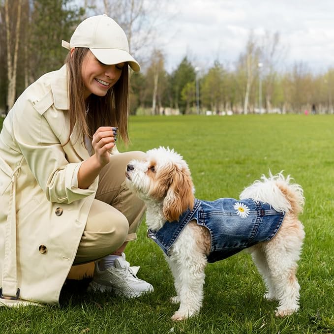 Dog Denim Jacket with Embroidered Daisy, Ripped Vintage Jean Vest for Small Dogs, Pugs, Chihuahuas, Spring Summer Fall Festival Outfit, X-Large (Fits Chest 17-18")