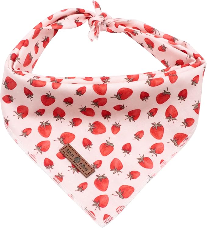 Lionet Paws Dog Bandana,Fabric Pink Dogs Kerchief for Small Medium Large Dogs,Dog Cotton Triangle Bibs Scarf for Girl Boy