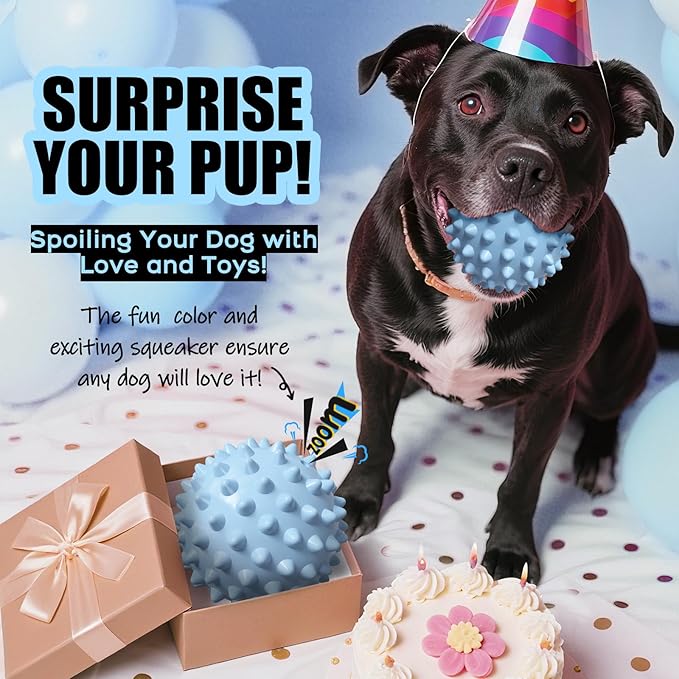 Apasiri 3.5" Durable Squeaky Dog Ball Toy for Puppy Medium Large Dogs(25-80 lbs): Bacon Flavored Blue Spiky Rubber Bouncing Floating Balls for Dogs, Tough Large Outdoor Dog Water Fetch Toys, Dog Gifts