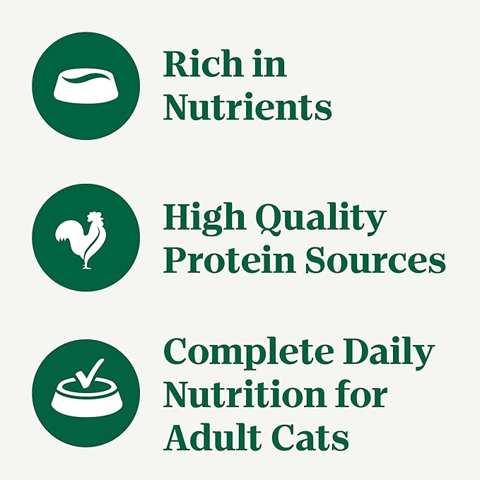 Nutro Perfect Portions Wet Cat Food Cuts in Gravy Turkey Recipe, Cat Food Wet Recipe, 2.64 oz. Twin-Pack Trays (24 Count)