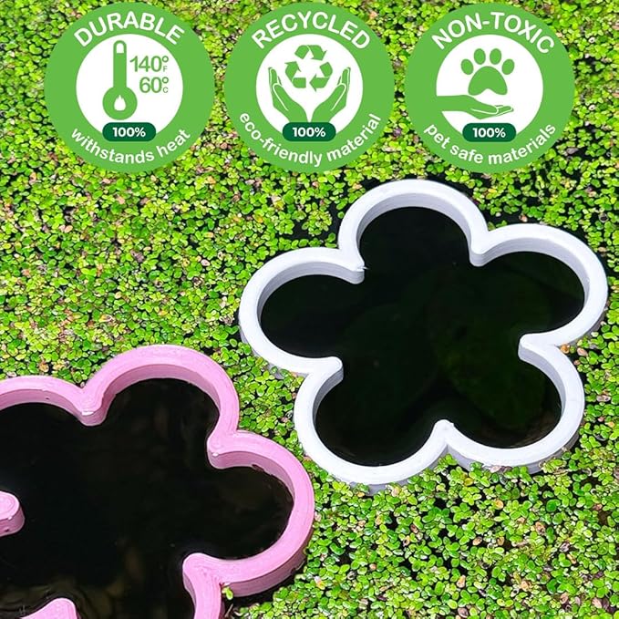Fish Feeding Portal for Betta & Aquariums | Floating Food Ring & Breathing Window (Daisy) (Black)