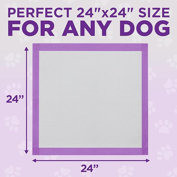 POOPH Puppy Pads 25 Count, 24x24 Inch Extra Large Dog Pee Pads, Disposable Training Pads with Odor Control & Leak-Proof Quick-Dry Backing for Puppies, Adult Dogs, Seniors & Housebound Pets
