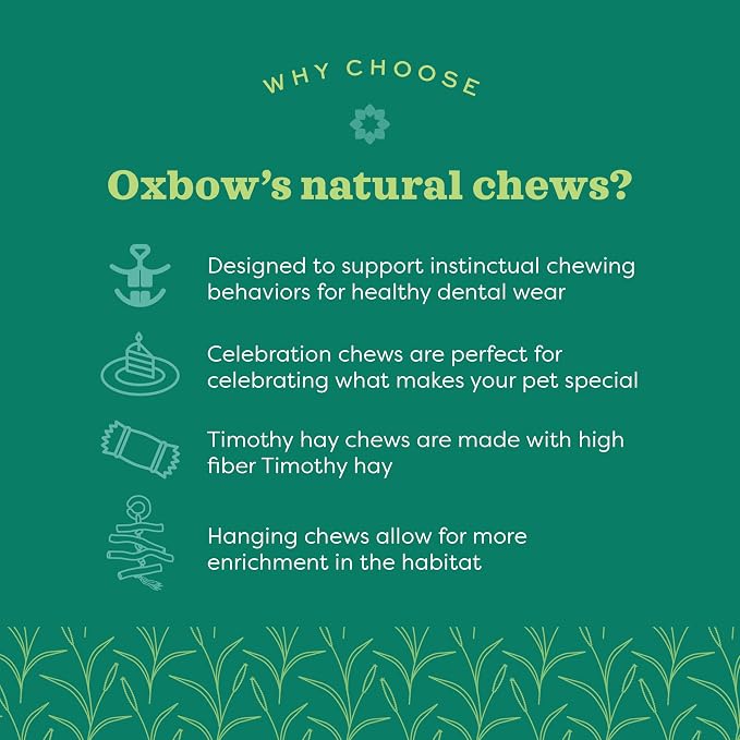 Oxbow Enriched Life Willow Play Cube, All Natural Enrichment for Rabbits, Guinea Pigs, Rats, and Hamsters, Supports Healthy Teeth and Play Instincts, Safe Chew Accessory for Cages and Play Areas