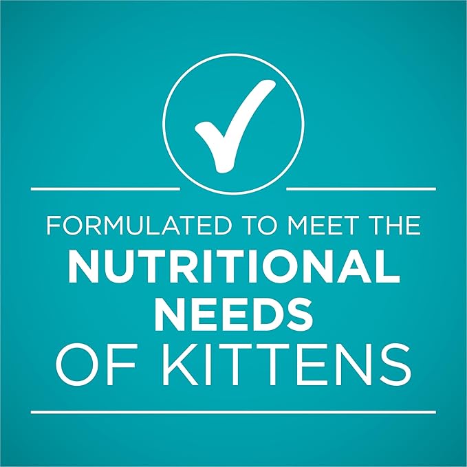 Purina ONE Grain Free, Natural Pate Wet Kitten Food, Healthy Kitten Chicken & Salmon Recipe - (Pack of 24) 3 oz. Pull-Top Cans