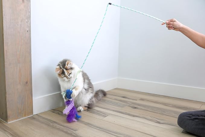 Quirky Kitty Glowing Forest Firefly Wand Catnip Cat Toy for Night Play Time | Luminous teaser to dangle and swish after dark, sparks chasing, leaping and playful exercise in felines every single day
