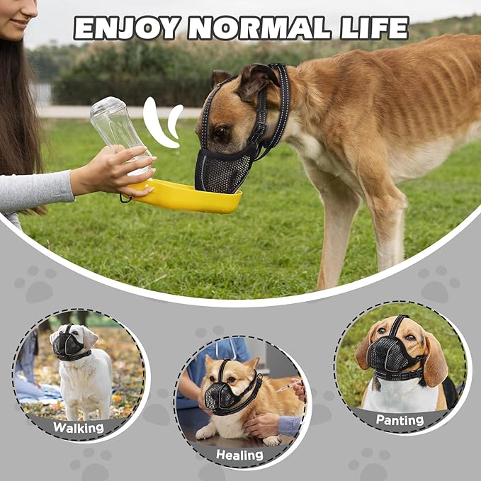 Dog Muzzle,Mesh Soft Muzzle for Small Medium Large Sized Dogs, Breathable Reflective Adjustable Puppy Muzzles with Collar for Scavenging Grooming Biting Chewing,Allows Panting and Drinking(Black S)