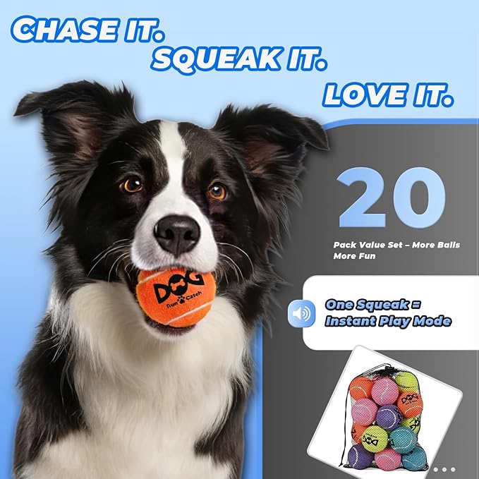 INSUM Squeaky Dog Balls - Squeaky Tennis Balls for Dogs, Yellow | Medium - 2.5'', 20Pack