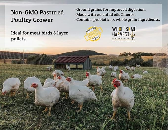 Non-GMO Pastured Poultry Grower 19% for Growing Chickens and Ducks - 40 lbs